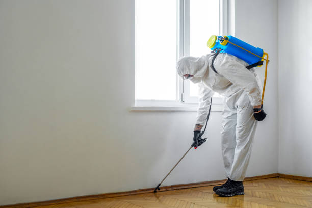 Best Pest Prevention Services  in Vinco, PA