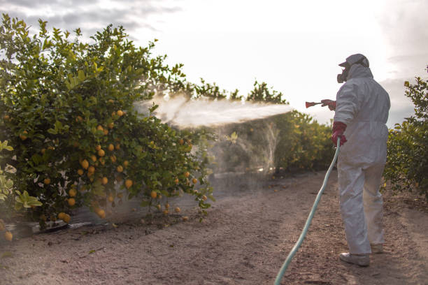 Best Insect Control  in Vinco, PA