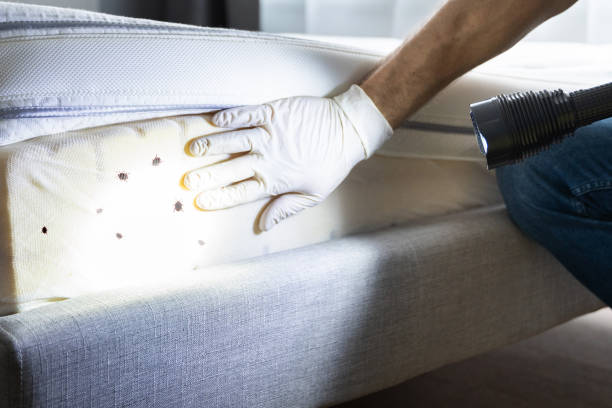 Best Best Pest Control Companies  in Vinco, PA