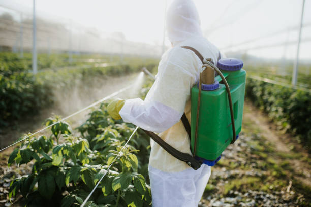 Best Ant Control Services  in Vinco, PA